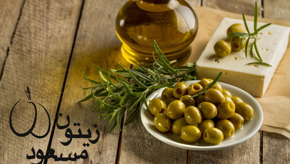 شروع به کار وب سایت زیتون مسعود 1 شروع به کار وب سایت زیتون مسعود