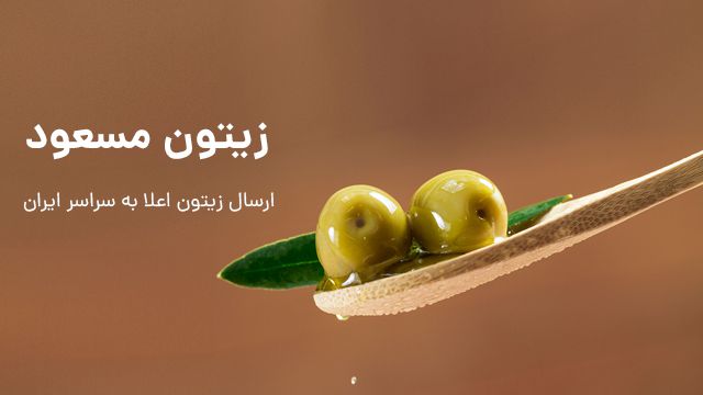زیتون مسعود
